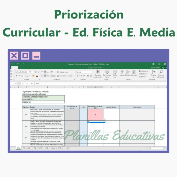 Planilla Priorización Curricular E. Fisica E. Media